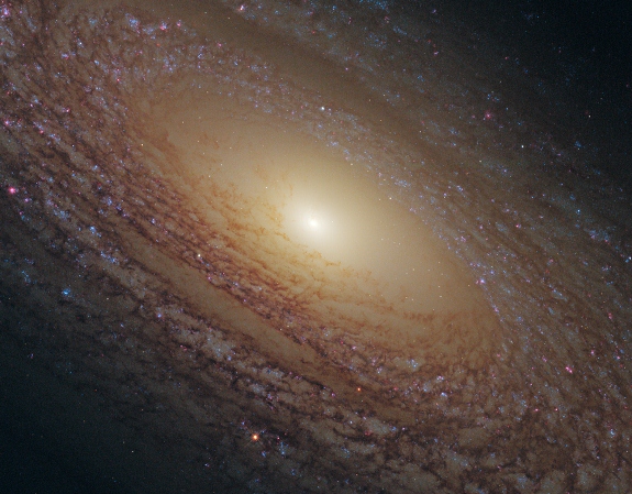 Spira lGalaxy NGC 2841