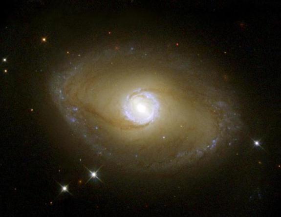 Galaxy NGC 6782