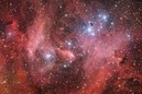An Angry Bird in the Sky: Lambda Centauri Nebula