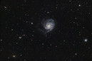 Giant of the Night Sky: Skywatcher Spots Colossal Pinwheel Galaxy