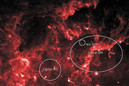 In the Heart of Cygnus, NASA's Fermi Reveals a Cosmic-Ray Cocoon