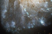 Hubble Spots a Bright Spark in a Nearby Spiral Galaxy