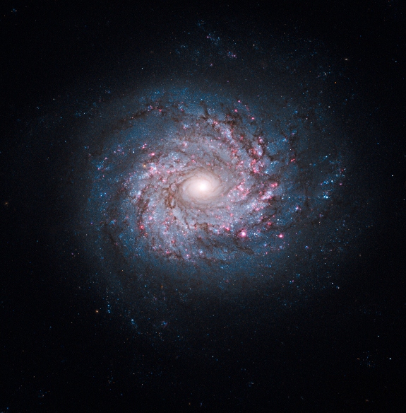 Spiral Galaxy NGC 3982