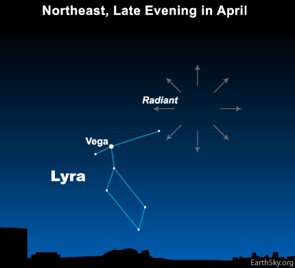 Lyrids Meteor Shower Radiant Point. Image by Deborah Byrd from EarthSky.org.