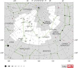 Draco constellation map. Image credit: IAU and Sky & Telescope magazine.
