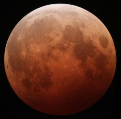 Lunar Eclipse October 8, 2014. Photo by Tom Ruen. License: CC BY-SA 4.0.
