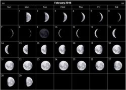 Moon Phases Calendar February 2016