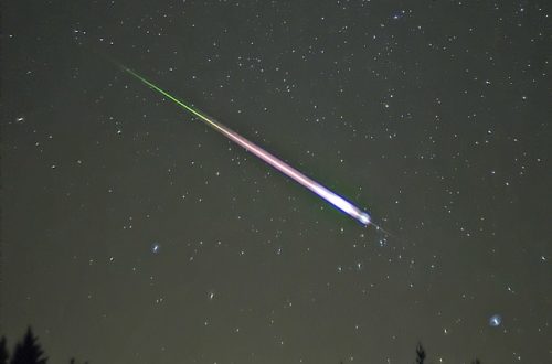2009 Leonid Meteor Shower