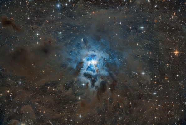 NGC 7023 Iris Nebula