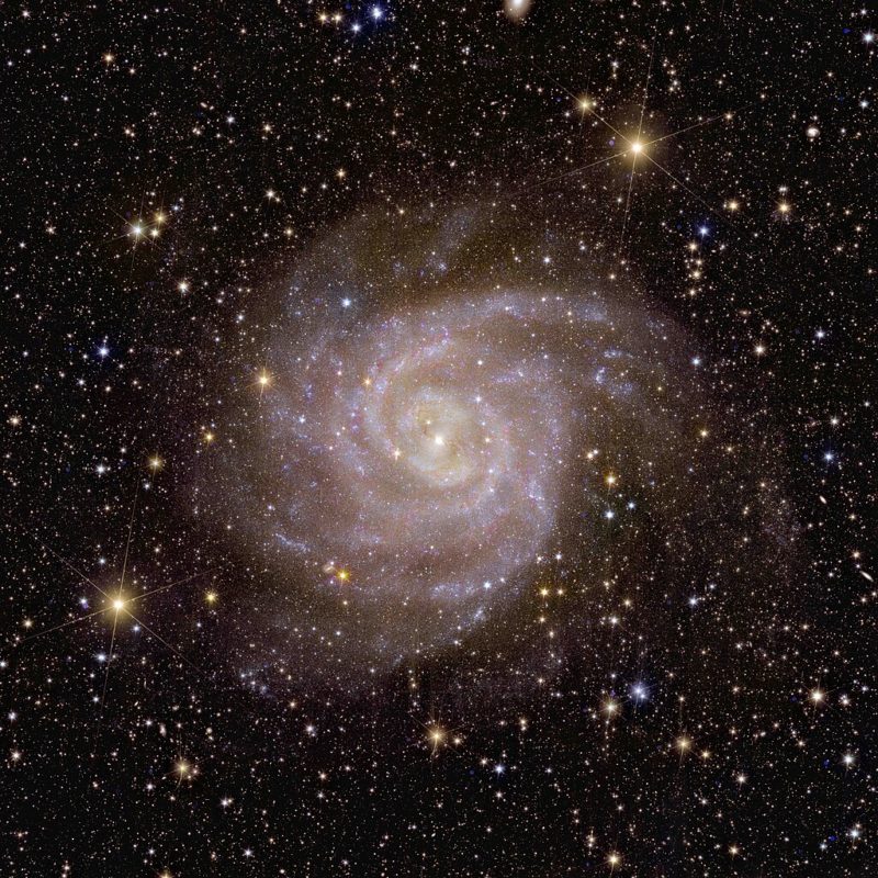 IC 342 galaxy by Euclid