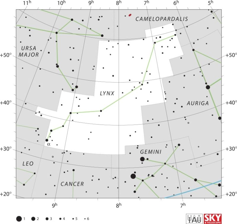 Lynx Constellation Map IAU